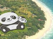 centrale solaire forme Panda Chine