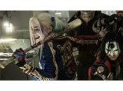 Suicide Squad aurait-il enfin trouvé réalisateur
