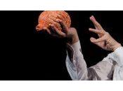 [Avignon 2017] Alex Vizorek nous parle d’Art manière