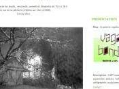 Galerie VAGABONDE Selles cher Fabien Tellier David Mercier jusqu’au Juillet 2017