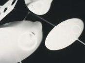 Moholy-Nagy, génie Bauhaus