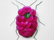 insectes végétaux Raku Inoue