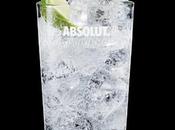 ABSOLUT LIME, parfait pour l’été