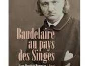 Baudelaire pays singes