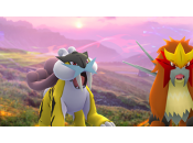 Pokémon Raikou, Entei Suicune, trouver