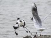 Deux méthodes simples réglages assurance tout risque