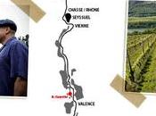 Vitis Vienna découvertes formidables