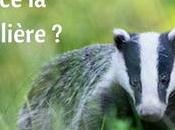 conseils pour faire photos animalières cartonnent