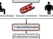 PARKINSON, ALZHEIMER Pourquoi l’exercice nerf guerre