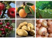 filière fruits légumes Grand qualité préserver, dynamisme encourager