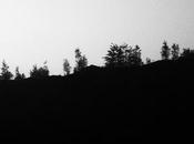 dilemme cercle tourne rond