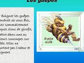 Trucs Astuces