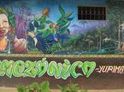 Arts urbains Amazonie, forêt possibles