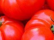 Tomates (suite)