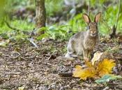 quatuor gagnant pour réussir photos l’approche