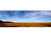 marais Parc Nature...