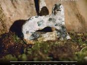 Gagne places pour Johnny Flynn Sussex Café Danse