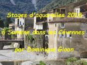 Stage dans Cévennes Dominique Gioan