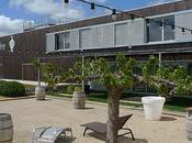 Domaine Scamandre Costières Nîmes