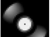 Diggity Cappella Cover