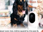 #Animaux cadeau #Noël Pawbo bien