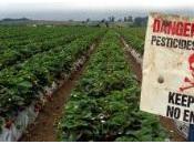 glyphosate pouvoir nous empoisonner pendant encore