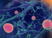 SOMMEIL agité, inflammation cerveau risque Parkinson