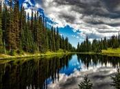 Fondation François Sommer pour promotion littérature cynégétique