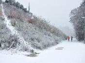 Vous voulez faire guerre faites-la vous-mêmes