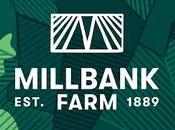 Milbank Farm creuse sillon