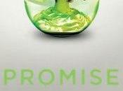 Promise, Ally Condie