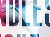 agendas découvrez Endless Night d'Estelle Every chez Fyctia