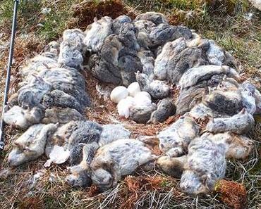18+ Photos montrant le côté sombre et effrayant de Dame Nature