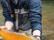 Fishers.inc Nouvelle-Zélande