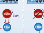 #Cell #cancer #immunitéinnée #LXR/ApoE L’activation LXR/ApoE restreint suppression l’immunité innée dans cancer
