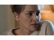 Critique Mosaic Saison Enquête demi-teinte