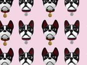 Gucci aussi animoji iPhone