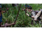 Critique Lost City plus grand film James Gray