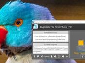 Duplicate File Finder Mini
