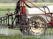 rien n'est fait d'ici 2021, pesticides chimiques pourront être utilisés
