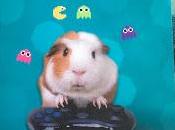 Sauveur fils saison dernière