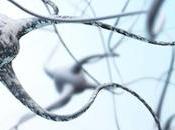 PARKINSON trop plein calcium dans neurones