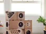 Cabanes modulaires pour chats