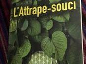 L'attrape-souci Catherine Faye