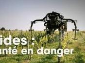 Cash Impact Elise Lucet repart chasse pesticides