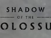 Jeux Vidéo Avis Test Shadow Colossus, grand retour