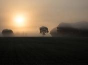 Rire avec loups, hurler hyènes