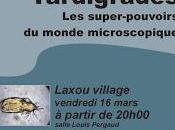 Rendez-vous nature Laxou