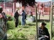 Montreuil devient ville-jardin potager ciel ouvert cultivée habitants