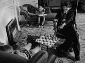 Quiz hebdo échecs Stephen Hawking